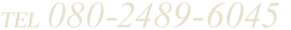080-2489-6045
